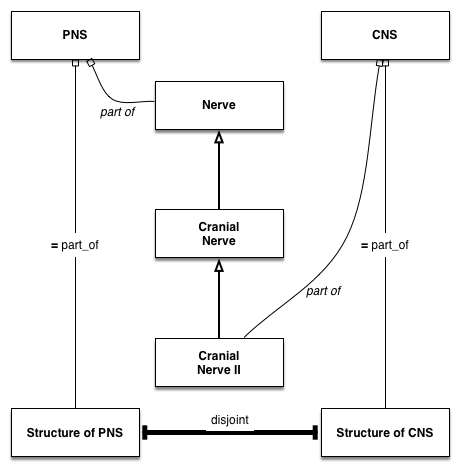 cns-pns-disjoint